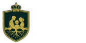 T-Bridge Finance LLC
