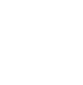 Website Developer