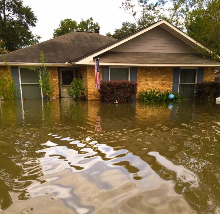 The Urgent MPI Hurricane Season Guide You Must Know Immediately A flooded home